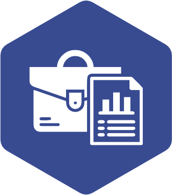 Portafolio Icon